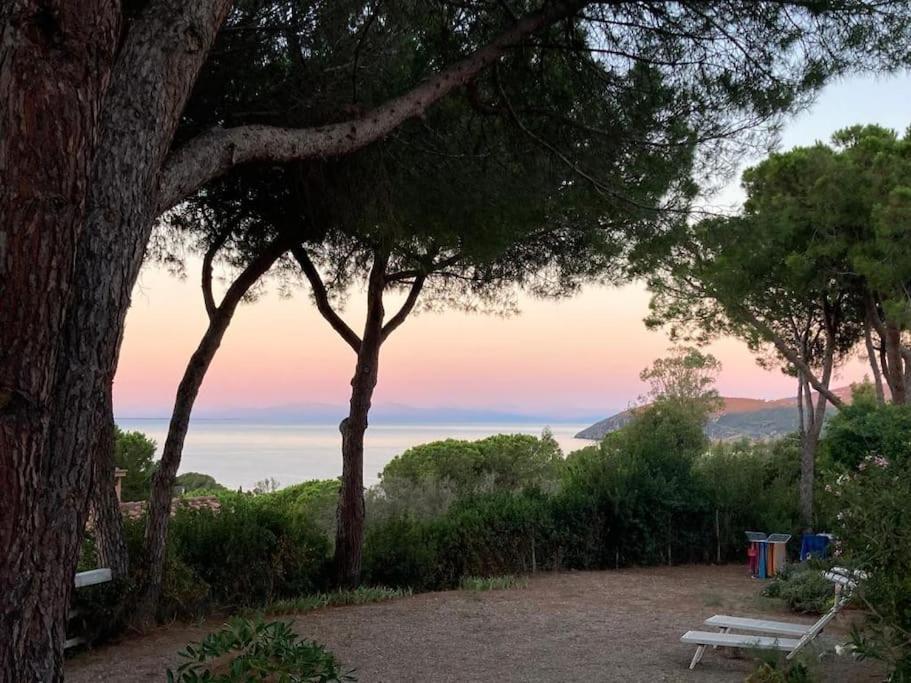 Villa Barabarca Capoliveri  Exteriör bild