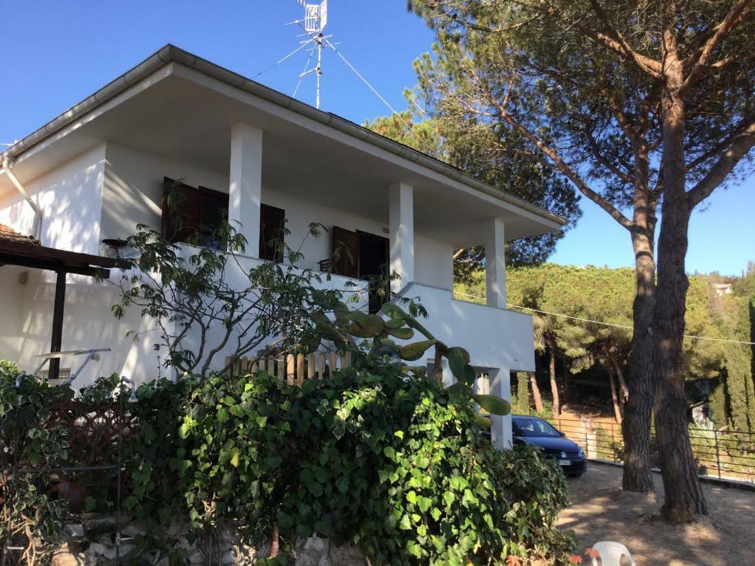 Villa Barabarca Capoliveri  Exteriör bild